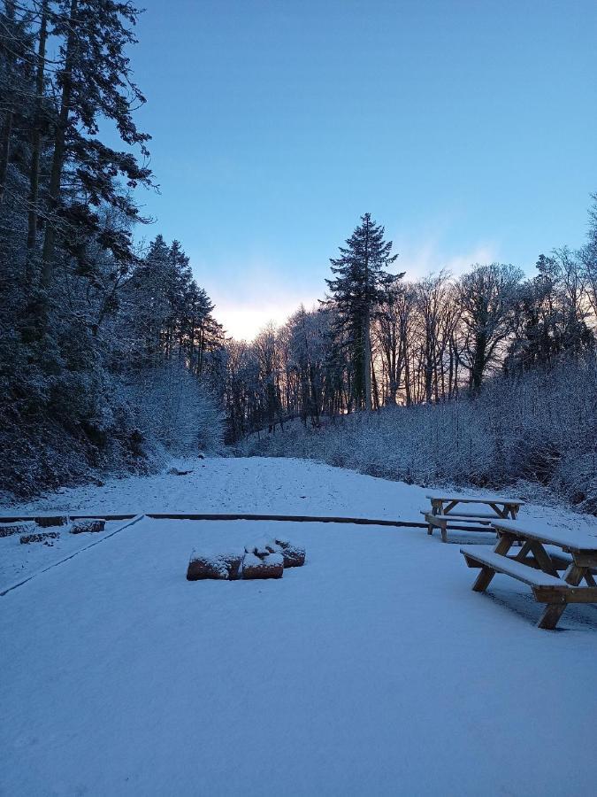 The West Wing At Eriviat Hall Hot Tub Henllan  المظهر الخارجي الصورة