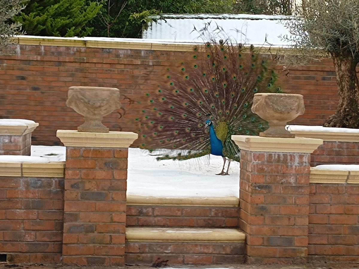 The West Wing At Eriviat Hall Hot Tub Henllan  المظهر الخارجي الصورة
