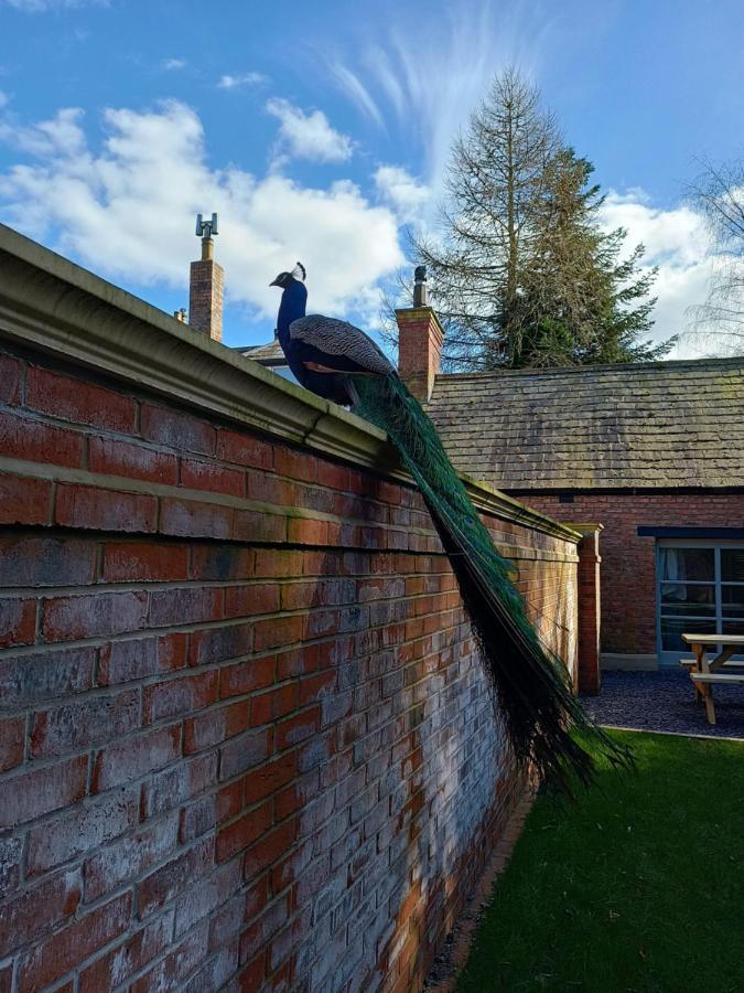 The West Wing At Eriviat Hall Hot Tub Henllan  المظهر الخارجي الصورة